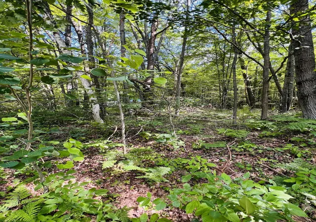 Homes for sale in Houghton Lake, MI | Lot 789 Redwine, Houghton Lake, MI 48653 | MLS# 80070376