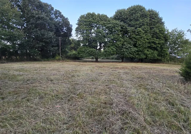 Photo 4 of Land for sale at 3911 W Carleton Rd, Hillsdale, MI 49242 | MLS# 70426505 | Listing updated on 2026-01-09