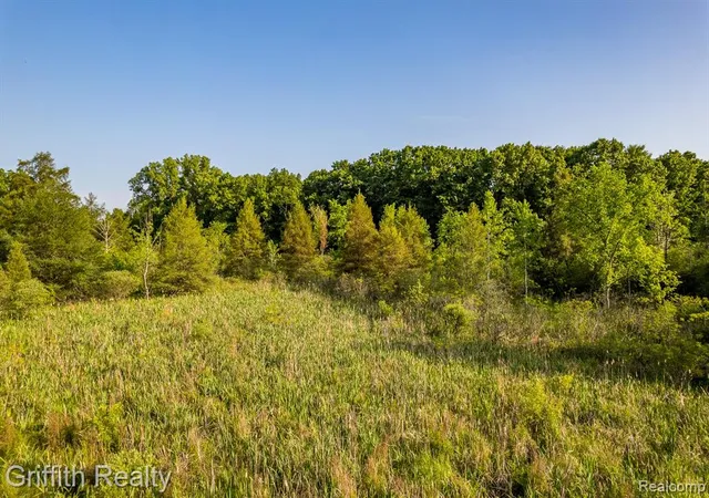 Photo 2 of Sale Pending at 4433 Brighton Parcel D Rd, Howell, MI 48843 | MLS# 60925712 | Listing updated on 2025-10-14