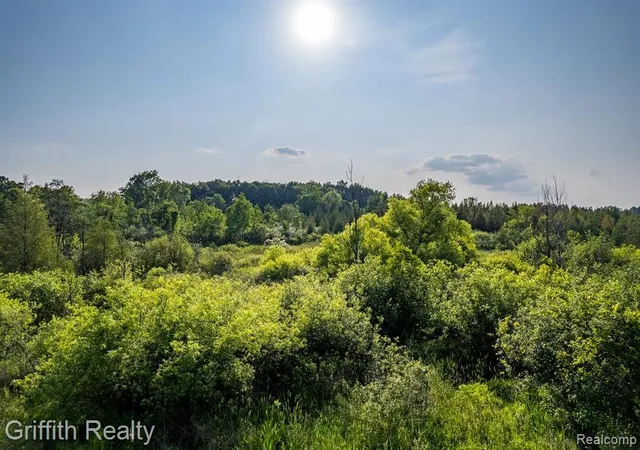 Photo 4 of Sale Pending at 4433 Brighton Parcel D Rd, Howell, MI 48843 | MLS# 60925712 | Listing updated on 2025-10-14