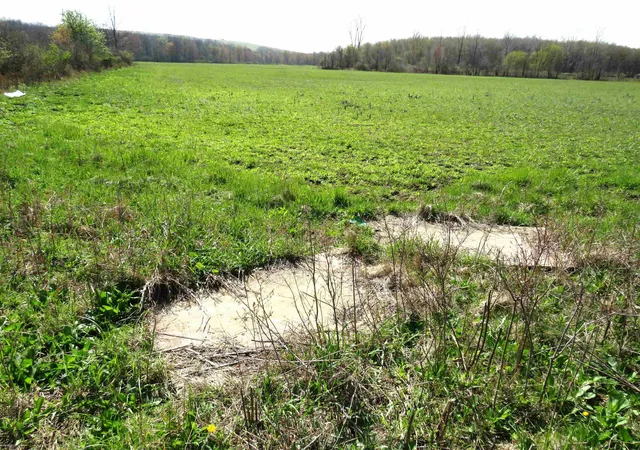 Photo 3 of Land for sale at 0 Gratiot Rd, Lenox, MI 48048 | MLS# 50140154 | Listing updated on 2026-09-02