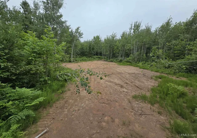 Photo 4 of Land for sale at Tbd Parcel 1 Townline Rd, Lanse, MI 49946 | MLS# 50196242 | Listing updated on 2026-08-24