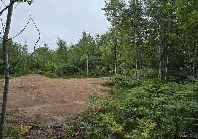Photo 5 of Land for sale at Tbd Parcel 1 Townline Rd, Lanse, MI 49946 | MLS# 50196242 | Listing updated on 2026-08-24
