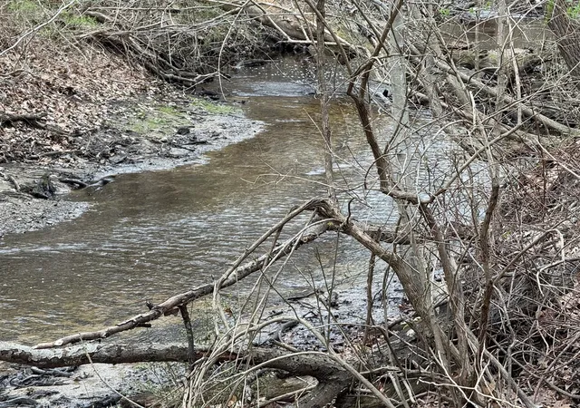 Photo 4 of Land for sale at 4202 Grand Bch Rd, New Buffalo, MI 49117 | MLS# 70522861 | Listing updated on 2026-04-04