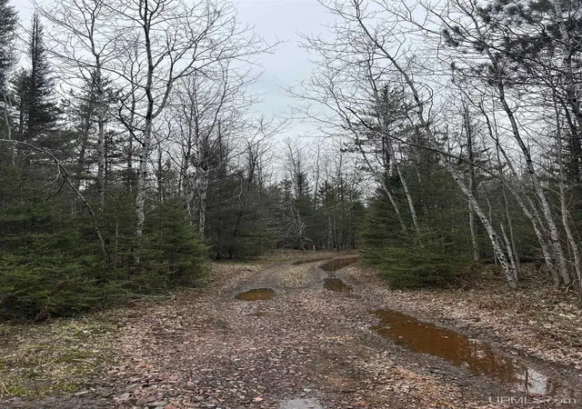 Photo 1 of Land for sale at Parcel 6 Off Johnson Lake Rd, Gwinn, MI 49841 | MLS# 50171101 | Listing updated on 2026-03-31