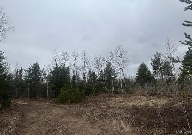Photo 2 of Land for sale at Parcel 6 Off Johnson Lake Rd, Gwinn, MI 49841 | MLS# 50171101 | Listing updated on 2026-03-31