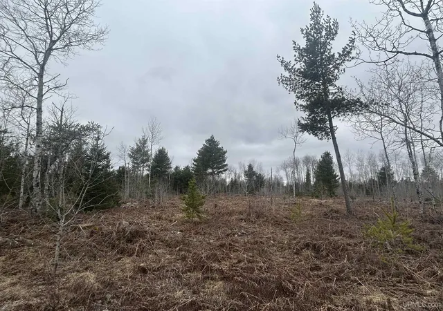 Photo 3 of Land for sale at Parcel 6 Off Johnson Lake Rd, Gwinn, MI 49841 | MLS# 50171101 | Listing updated on 2026-03-31