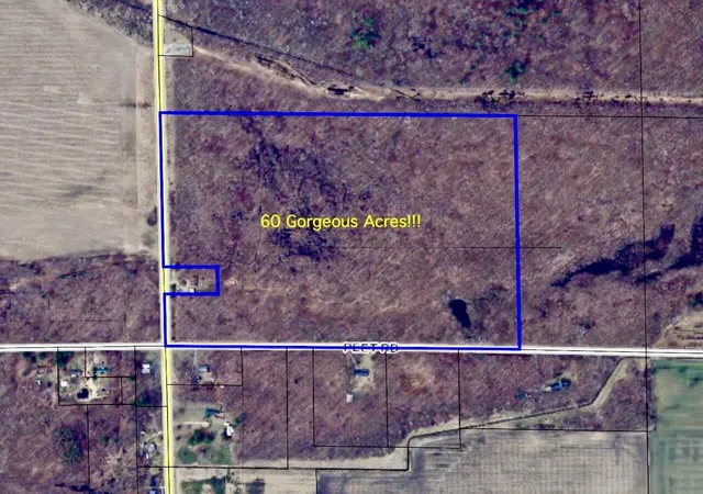 Photo 1 of Unimproved Land at Chapin V/l Rd, Elsie, MI 48831 | MLS# 50211402 | | Sold on 2026-06-25