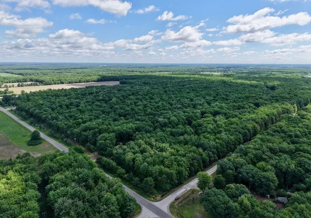 Photo 2 of Unimproved Land at Chapin V/l Rd, Elsie, MI 48831 | MLS# 50211402 | | Sold on 2026-06-25