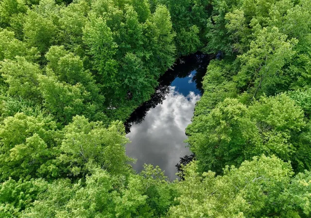 Photo 3 of Unimproved Land at Chapin V/l Rd, Elsie, MI 48831 | MLS# 50211402 | | Sold on 2026-06-25