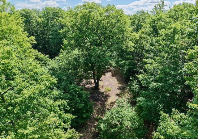 Photo 4 of Unimproved Land at Chapin V/l Rd, Elsie, MI 48831 | MLS# 50211402 | | Sold on 2026-06-25