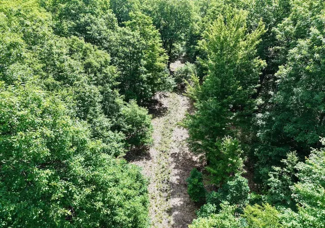 Photo 5 of Unimproved Land at Chapin V/l Rd, Elsie, MI 48831 | MLS# 50211402 | | Sold on 2026-06-25