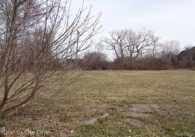 Photo 1 of Land for sale at 612 Concord St, Detroit, MI 48207 | MLS# 60199847 | Listing updated on 2026-01-21
