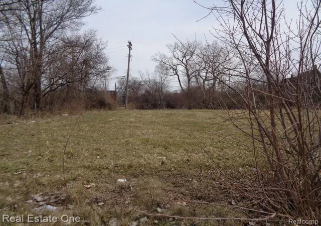 Photo 2 of Land for sale at 612 Concord St, Detroit, MI 48207 | MLS# 60199847 | Listing updated on 2026-01-21