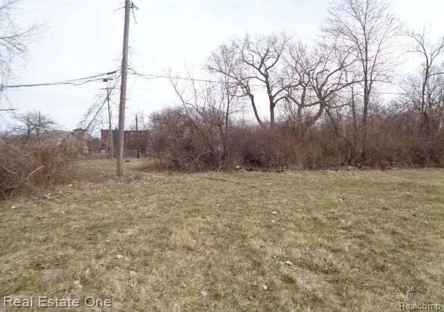 Photo 3 of Land for sale at 612 Concord St, Detroit, MI 48207 | MLS# 60199847 | Listing updated on 2026-01-21