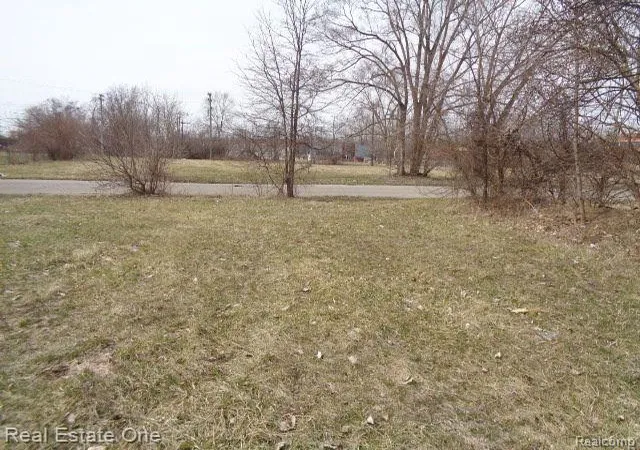 Photo 3 of Land for sale at 612 Concord St, Detroit, MI 48207 | MLS# 60199847 | Listing updated on 2026-01-21