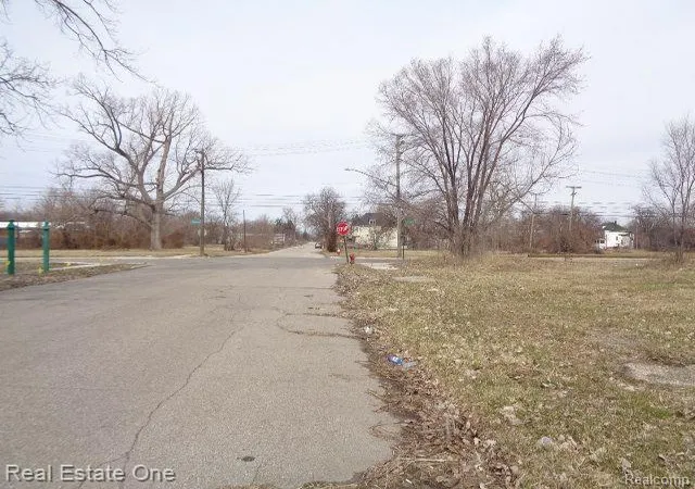 Photo 4 of Land for sale at 612 Concord St, Detroit, MI 48207 | MLS# 60199847 | Listing updated on 2026-01-21