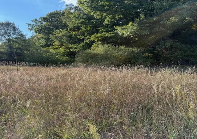 2nd image of V/l Industrial Park Dr, Greenville, MI 48838 | MLS# 70494066