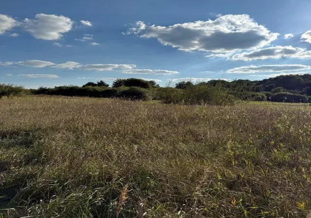 4th image of V/L Industrial Park Dr, Greenville, MI 48838 | MLS# 70494066