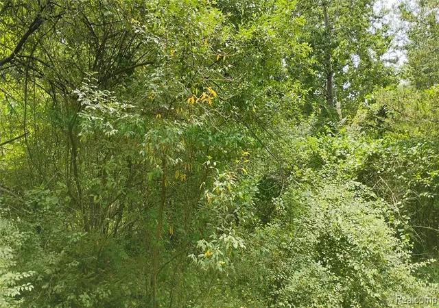 12th image of 000 Middle Parc Middle Rd, Highland, MI 48357 | MLS# 60991728