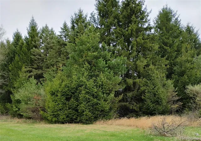 2nd image of 000 Middle Parc Middle Rd, Highland, MI 48357 | MLS# 60991728