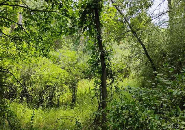 5th image of 000 Middle Parc Middle Rd, Highland, MI 48357 | MLS# 60991728