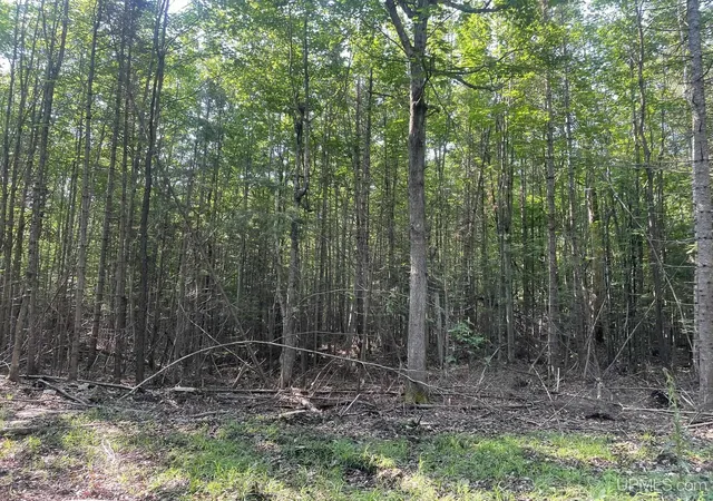 Homes for sale in Garden, MI | Tbd 17th Rd Rd, Garden, MI 49835 | MLS# 50180413