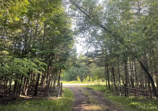 Homes for sale in Garden, MI | Tbd 17th Rd Rd, Garden, MI 49835 | MLS# 50180413