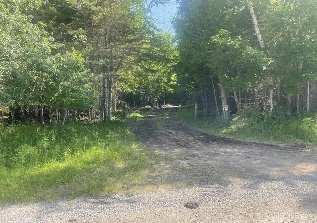Homes for sale in Garden, MI | Tbd 17Th Rd Rd, Garden, MI 49835 | MLS# 50180413