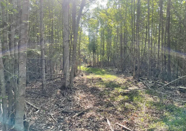 Homes for sale in Garden, MI | Tbd 17Th Rd Rd, Garden, MI 49835 | MLS# 50180413