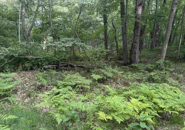 Homes for sale in Farwell, MI | Lot 968 Cherry Rd, Farwell, MI 48622 | MLS# 50213770