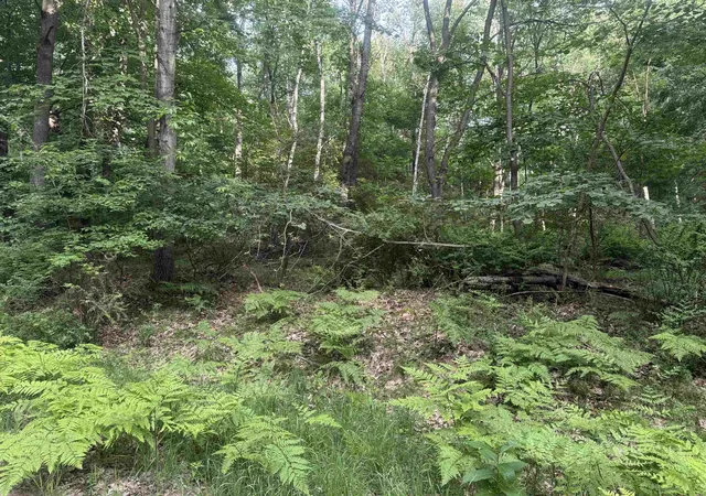 Homes for sale in Farwell, MI | Lot 968 Cherry Rd, Farwell, MI 48622 | MLS# 50213770