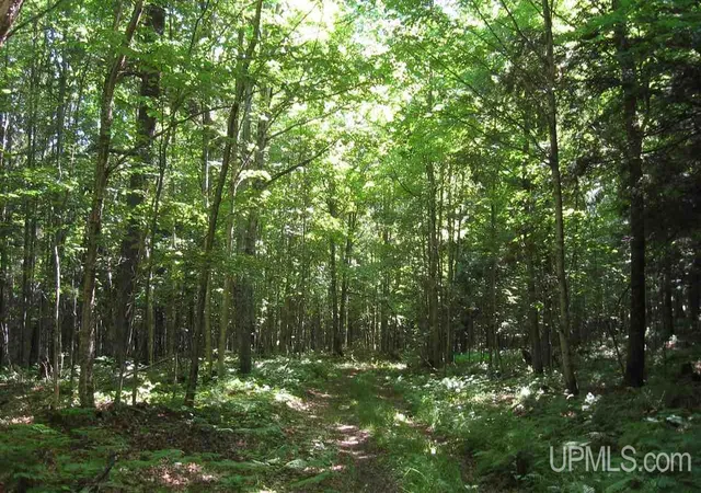 Photo 13 of Land for sale at 000 Near Big Bay, Marquette, MI 49855 | MLS# 50152020 | Listing updated on 2026-05-29