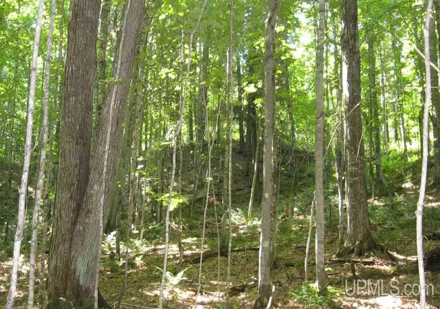 Photo 2 of Land for sale at 000 Near Big Bay, Marquette, MI 49855 | MLS# 50152020 | Listing updated on 2026-05-29