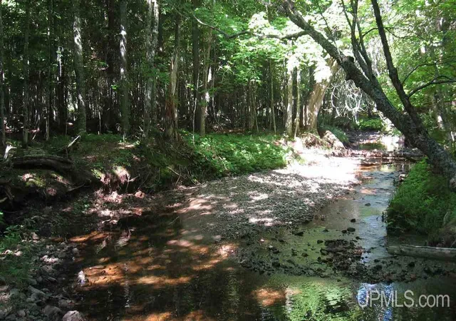 Photo 5 of Land for sale at 000 Near Big Bay, Marquette, MI 49855 | MLS# 50152020 | Listing updated on 2026-05-29