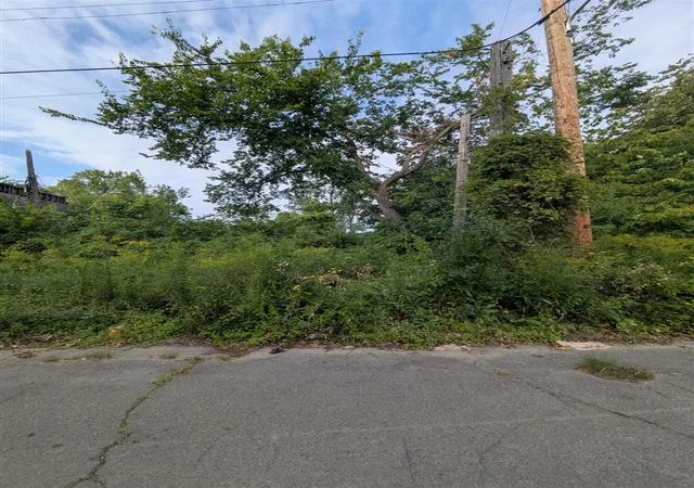 Land for sale at 5631 Mckinley St, Detroit, MI 48208-1460 | MLS# 70553811