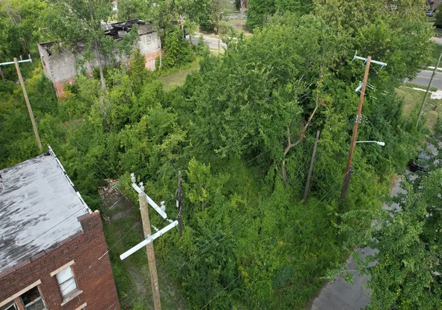 Photo 3 of Land for sale at 5631 Mckinley St, Detroit, MI 48208 | MLS# 70553811 | Listing updated on 2026-08-27