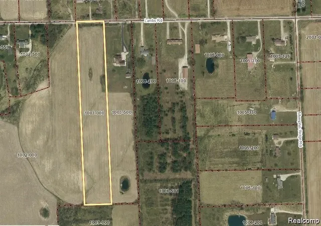 Photo 8 of Land for sale at 0 Lambs Rd, Riley, MI 48041 | MLS# 61024394 | Listing updated on 2026-08-31
