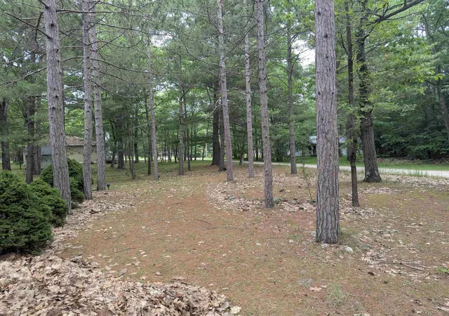 Homes for sale in Au Gres, MI | 28 W Pine, Au Gres, MI 48703 | MLS# 80070395