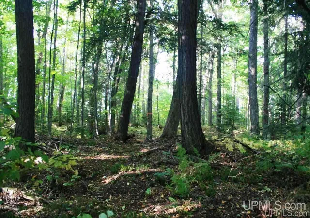 Homes for sale in Ontonagon, MI | Tbd Lakeshore, Ontonagon, MI 49953 | MLS# 10064692