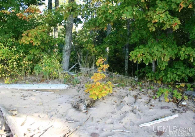 Homes for sale in Ontonagon, MI | Tbd Lakeshore, Ontonagon, MI 49953 | MLS# 10064692