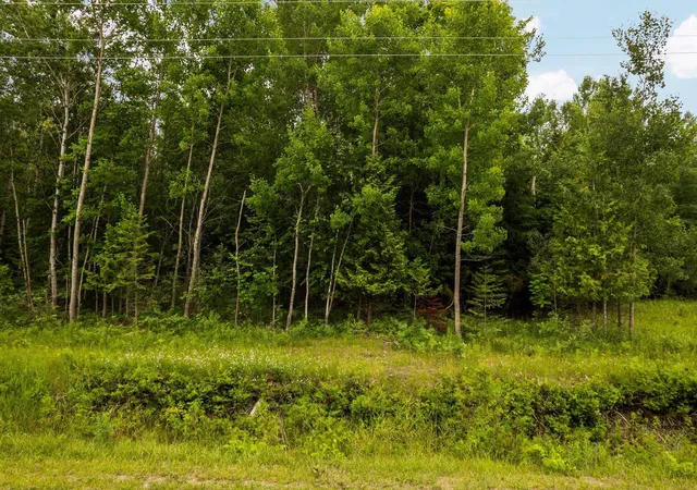 16th image of 00 Creswell Rd, Kewadin, MI 49648 | MLS# 80070827