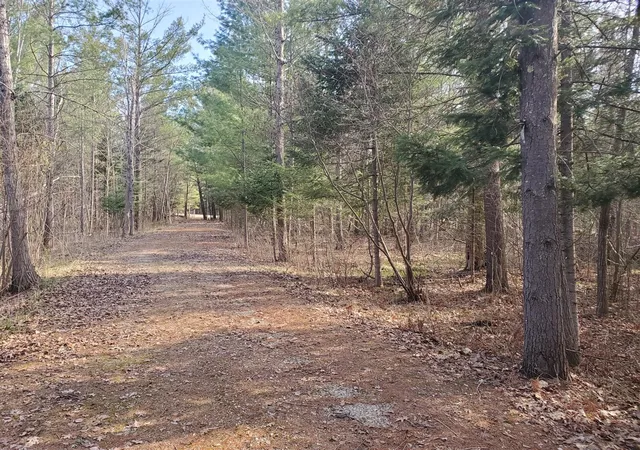 1st image of Eagles Nest Way, Gladwin, MI 48624 | MLS# 70527745
