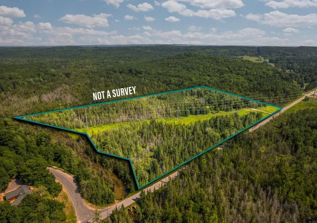 5th image of Parcels A & B Schuss Mountain Rd, Mancelona, MI 49659 | MLS# 80071204