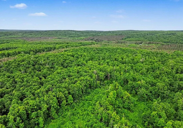 Photo 3 of Sale Pending at Vl Robinson Rd, Harbor Springs, MI 49740 | MLS# 80071666 | Listing updated on 2026-09-12