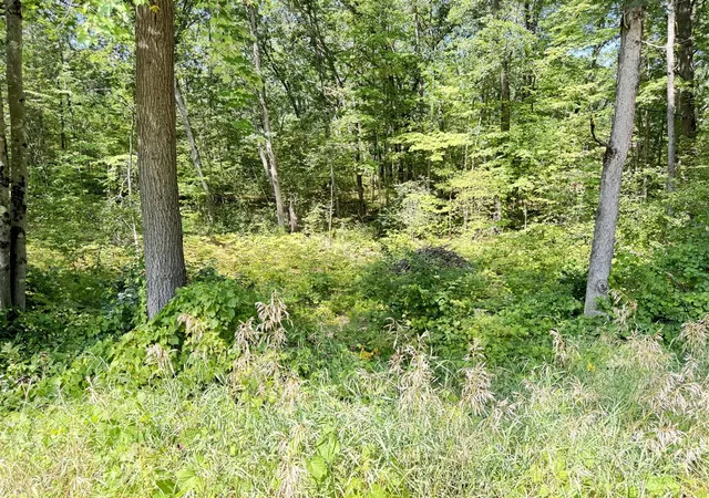 1st image of 8835 N Bingham Ave, Bitely, MI 49309 | MLS# 70554235