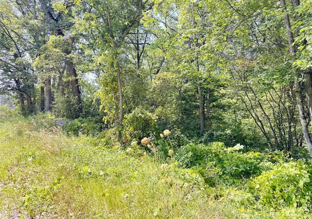 3rd image of 8835 N Bingham Ave, Bitely, MI 49309 | MLS# 70554235