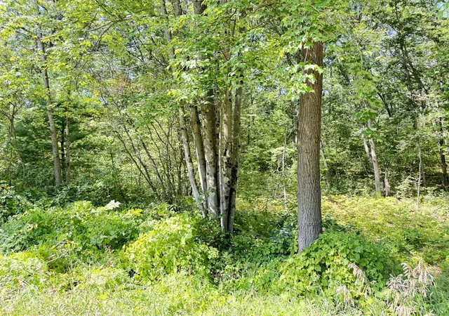 4th image of 8835 N Bingham Ave, Bitely, MI 49309 | MLS# 70554235