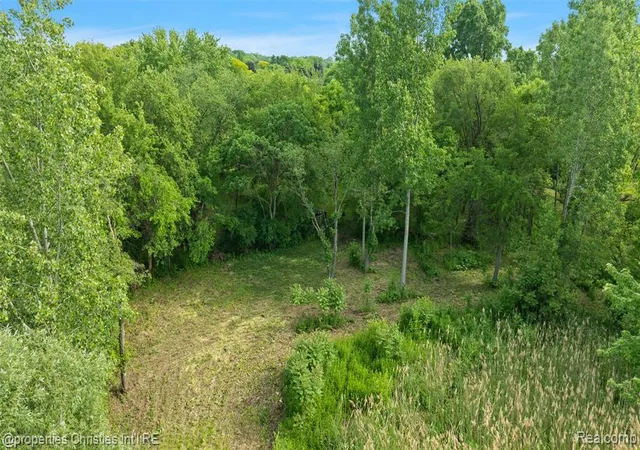 4th image of 0000 E Square Lake Rd, Troy, MI 48085 | MLS# 61001806