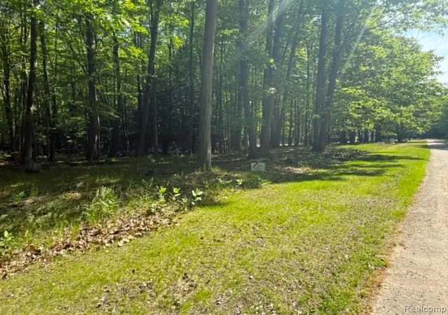 Homes for sale in Port Austin, MI | Lot 16 Towering Oaks Dr, Port Austin, MI 48467 | MLS# 61000836